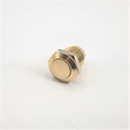 12mm Anti Vandal Momentary Polished Brass Switch