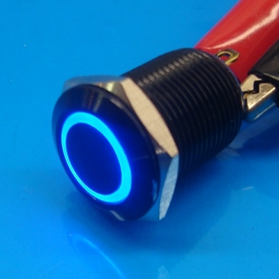 12mm Anti Vandal Momentary Blue Ring Switch