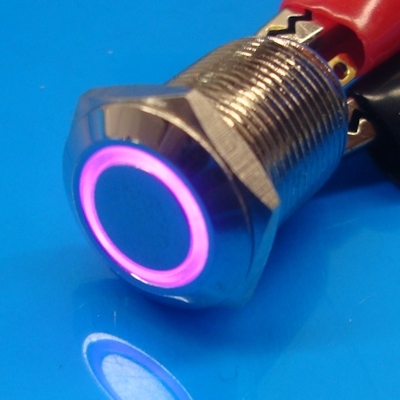 12mm Anti Vandal Momentary Purple Ring Switch