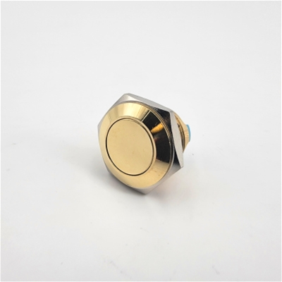 16mm Anti Vandal Momentary Polished Brass Switch