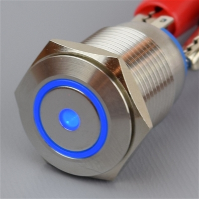 16mm Anti Vandal Momentary Blue Dot/Ring Switch