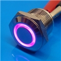 16mm Anti Vandal Momentary Purple Ring Switch