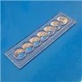 Bubble Card
