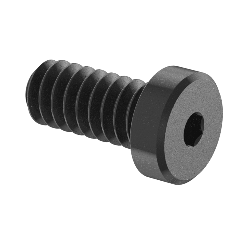 4-40 x 1/4" low profile allen head screw