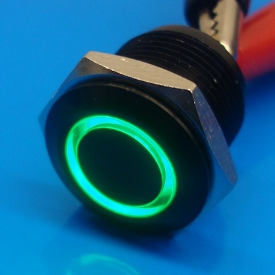 16mm Anti Vandal Momentary Green Ring Switch