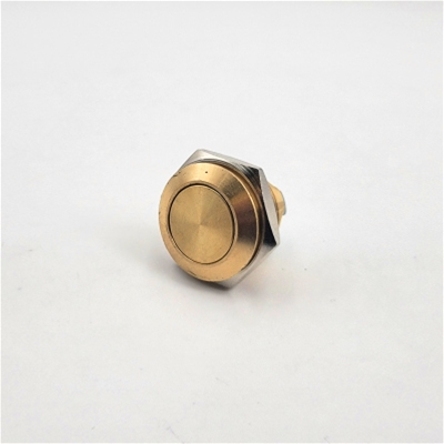 16mm Anti Vandal Momentary Natural Brass Switch