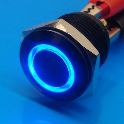 16mm Anti Vandal Momentary Blue Ring Switch