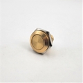 16mm Anti Vandal Momentary Natural Brass Switch