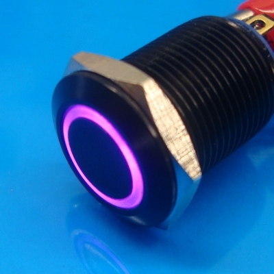 12mm Anti Vandal Momentary Purple Ring Switch